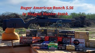 RUGER AMERICAN RANCH IN 556 ON MAGPUL HUNTER STOCK ACCURACY TEST [upl. by Falda]