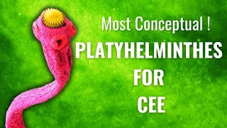 Phylum Platyhelminthes  Animal kingdom 07  For CEE [upl. by Nolham]