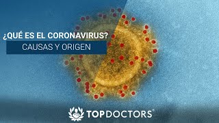 ¿Qué es el Coronavirus Causas y origen [upl. by Idroj]