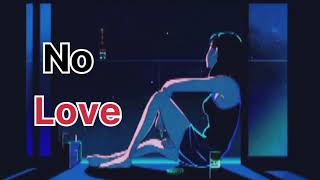 No Love slowed Reverb Lofi Remix  New Version  Official Trending Songs  tauheedidrishi [upl. by Nemhauser151]