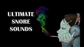 Snoring Sounds Ultimate Snore Sound Effect Compilation [upl. by Nazario164]