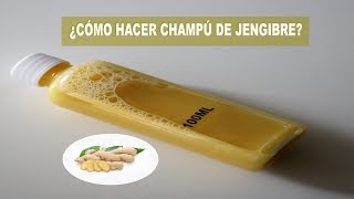 Champú de Jengibre Casero Promueve el Crecimiento del Cabello [upl. by Cheri]