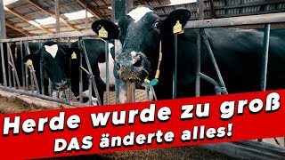 Herde zu groß – doch DAS änderte alles  My KuhTube Film 713 [upl. by Leummas102]