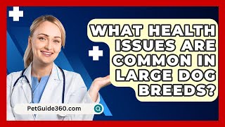 What Health Issues Are Common in Large Dog Breeds  PetGuide360com [upl. by Aryamoy63]