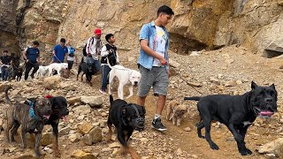 Caminata de PERROS PODEROSOS por las orillas del mar Part 2🦮🐕🐶 [upl. by Ecnahoy]