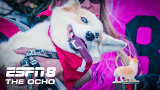 Wrong Way Loki wins by a whisker in the 2022 Corgi Races at Emerald Downs  ESPN8 The Ocho [upl. by Airlee]