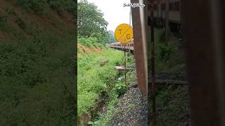 😱12993 Puri Gimb Weekly SF Express Slowly Curve Action With BRC Wap 5 wap5 wap5locomotive [upl. by Nelaf]