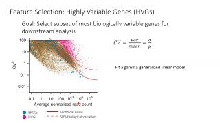 W20 Single Cell RNASeq Analysis with Python  Day 2 [upl. by Notaek]