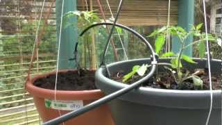 Gardena Flower Box  micro drip  Watering System [upl. by Arrec785]