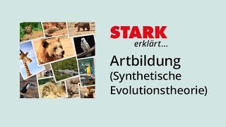 Artbildung nach der Synthetischen Evolutionstheorie  STARK erklärt [upl. by Darlene976]