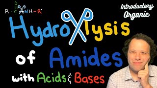 Hydrolysis Reactions of Amides with Acids and Bases Explained in 2 Steps [upl. by Ydarg]