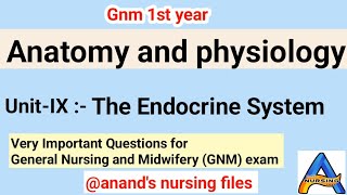 GNM 1st year Anatomy amp physiology UnitIX Endocrine SystemImportant Questions for gnm 1st year [upl. by Candie]