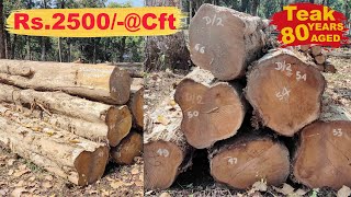 Teak Wood Price II Teak Wood Wholesale Market II Tectona Grandis [upl. by Colier]