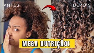 Resenha Máscara Mega Nutrição Realeza Cacheada  Reiny Hair [upl. by Nnyltiac]