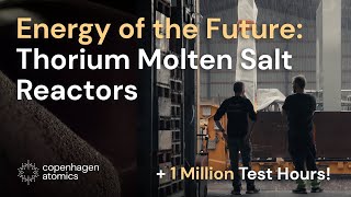 Energys FUTURE 9 Years of THORIUM Molten Salt Reactor Advancements [upl. by Shaddock269]