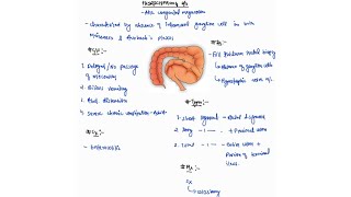 HIRSCHSPRUNGS DISEASE NOTES ONE PAGE NOTES  LARGE INTESTINE  SURGERY  4TH PROFF  MBBS [upl. by Ihtak972]