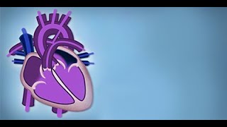 Fetal Circulation by L McCabe  OPENPediatrics [upl. by Thera]