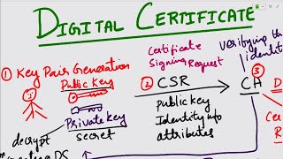 Digital Certificates  Stepbystep process of Digital Certificate Digital Certificates Explained [upl. by Esirehc384]