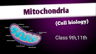 Mitochondriastructure composition and functionscell  cell biology [upl. by Noelle]