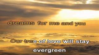 EVERGREEN TREE KARAOKE VERSION [upl. by Cantu]