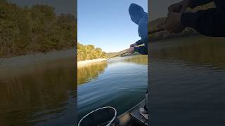 CATCHING SMALLMOUTH BASS ON THE ALABAMA RIG SCHOOLING FISH WERE BITINGfishingshortstrendingyt [upl. by Oterol839]