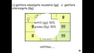 Genetica 66 esercizi [upl. by Moran513]