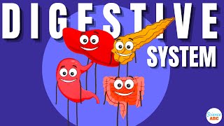 Digestive System Ingestion to Egestion Explained in Simple Words [upl. by Ythomit]