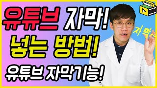 유튜브 자막넣기 어떻게 하는지 알려줄게요 유튜브 자막기능 유튜브랩 허피디 [upl. by Sidoon712]