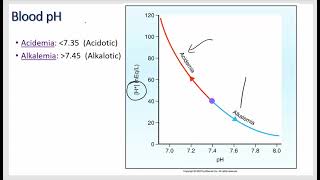 Renal Physiology  Acid Base Balance [upl. by Renato]