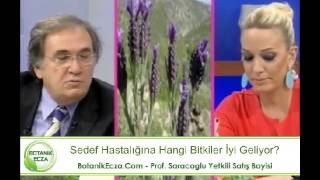 Prof İbrahim Adnan Saracoglu Sedef Hastalığına Karşı Kürler [upl. by Recha]