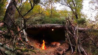 Bushcraft Shelter UNDER FALLEN TREE  Solo Survival Camping Outdoor Cooking Documentary DIY ASMR [upl. by Pricilla]