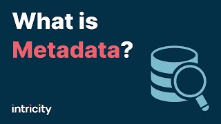 What is Metadata [upl. by Rhine]