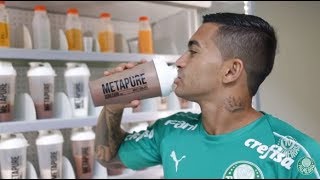 SUPLEMENTOS NO PALMEIRAS  ACHO QUE VAI ALÉM DE WHEY PROTEIN [upl. by Haneehs402]