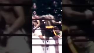 Frazier KOs Ellis shorts boxing knockout [upl. by Radbun]