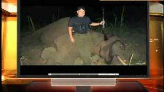 Fair or Foul Go Daddy CEO shoots elephant in Africa [upl. by Eipper]