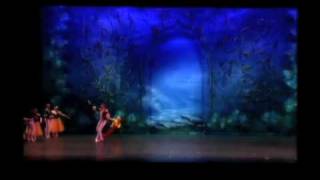 Moscow Ballets Swan Lake overview in 2 minutes [upl. by Seerdi]