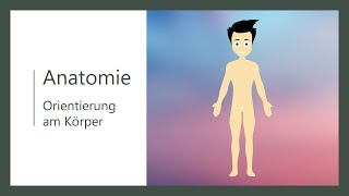 Orientierung am Körper  topografische Anatomie  Basics [upl. by Ayaladnot]