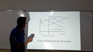 Aula  Prof Hélio  Ciclo Lactacional de uma Vaca [upl. by Mafalda834]