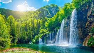 Calming Melodies For Heart Health 🍀 Relaxing Music To Heal And Restore The Blood Vessels [upl. by Allehs695]