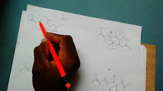 How to identify a Terpene and its isoprene units [upl. by Ahsilram869]