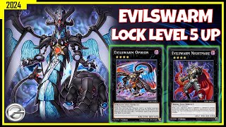 EVILSWARM DECK LOCK LEVEL 5 UP  ANDROID GAMEPLAY MAY 2024  YUGIOH DUEL LINKS [upl. by Warfold13]