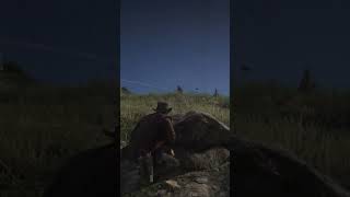 Red Dead Redemption 2 Hay que ser sigiloso con los O´driscolls [upl. by Keel]