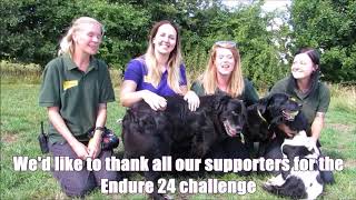 Dogs Trust Leeds  Endure run [upl. by Weisburgh]