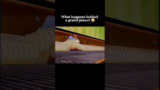 Whats happen behind a grand piano funny classicalpiano classicalmusic music pianomusic [upl. by Natividad]