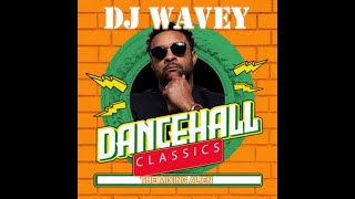 THROWBACK OLDSCHOOL DANCEHALL CLASSICS MIX Sean Paul Shaggy Wayne Buju Beenie Man TOK  90s 2000s [upl. by Hajidahk]