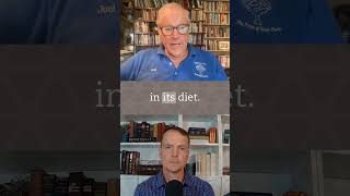 Joel Salatin  From 1000 Foods to Just 30 The Shocking Decline in Our Diet Variety [upl. by Harte]