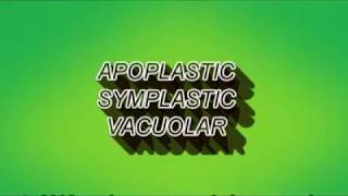 Apoplast symplast and vacuolar pathway [upl. by Leda]