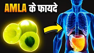 Amazing Benefits Of Amla  आंवले के फायदे [upl. by Petua]