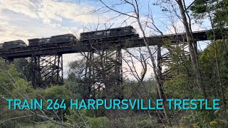 NS Train 264 crossing the Harpursville Trestle in NinevehNY [upl. by Ramin]