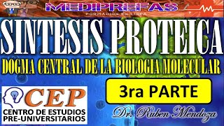 SINTESIS DE PROTEINAS  HISTONAS TRANSCRIPCION FORMACION DEL RNAm 3RA PARTE [upl. by Ynnavoig]